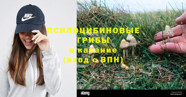 стафф Алексеевка