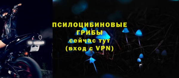 стафф Алексеевка
